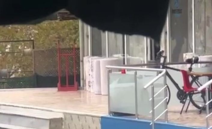 Kartal’da trafikte kedi ile farenin kavgası sürücülere zor anlar yaşattı