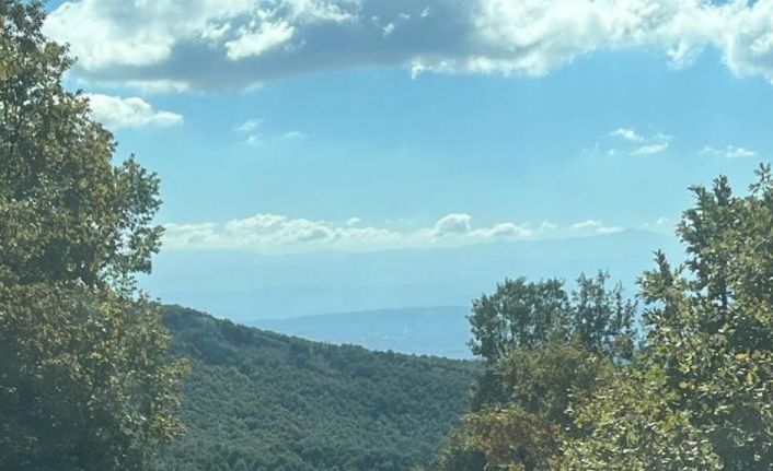 Kaybettiği hayvanları  jandarma buldu