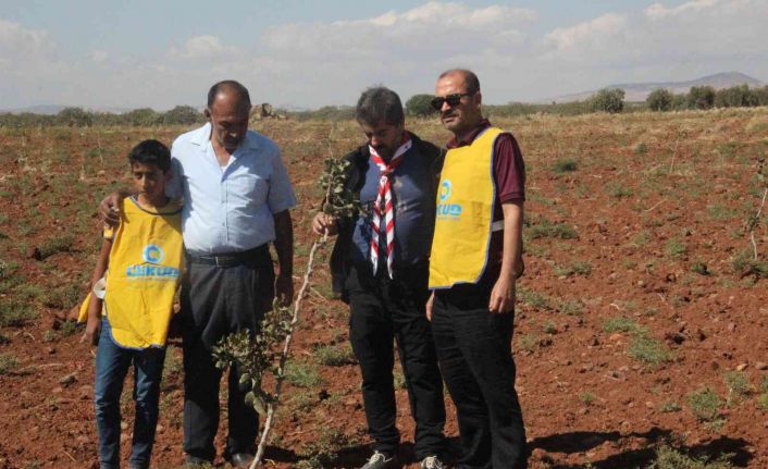 Kilis’te çiftçiye fidan desteği