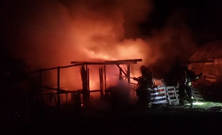 Kocaeli’de elektrik sobasından çıkan yangında baraka alevlere teslim oldu