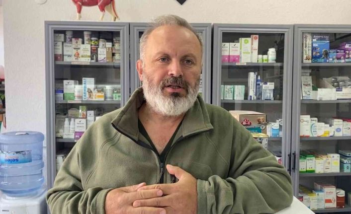 Martının balık zannettiği olta kancası boğazına takılınca ameliyatla kurtarıldı