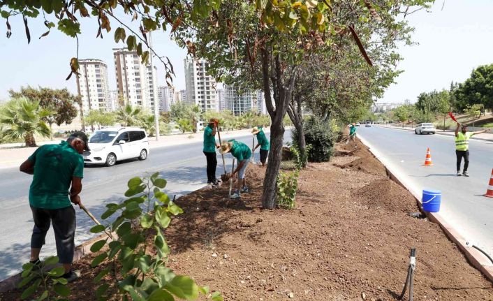 Mersin’de 5 büyük ilçede refüj düzenlemesi yapılıyor