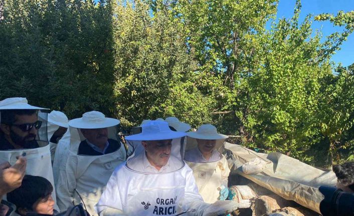 Milletvekili Arvas karakovan bal hasadı yaptı