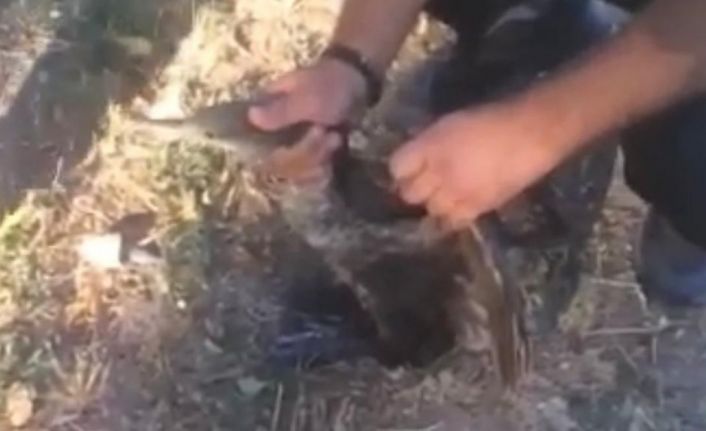 Misinaya dolanan balıkçıl kuşu itfaiye ekiplerince kurtarıldı