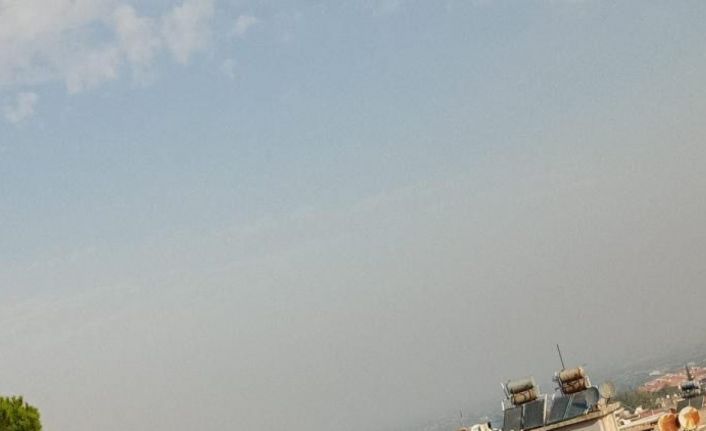 Okulda geyik şaşkınlığı