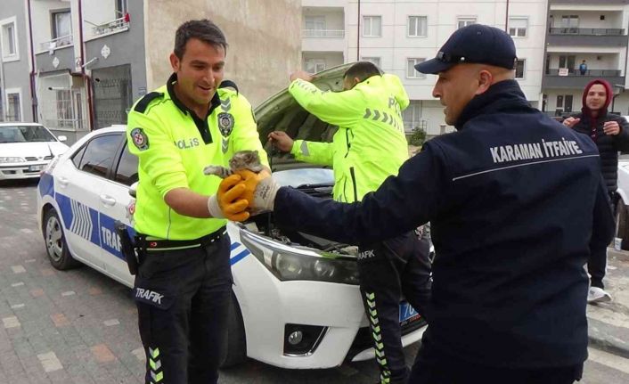Otomobile ve polis aracının motoruna giren kediyi çıkartmak için seferber oldular