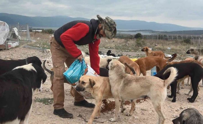 (Özel) Bursa’da 16 gönüllü, kurdukları barınakta 300 sokak hayvanına bakıyor