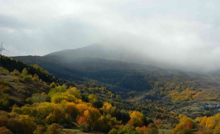 Posof’ta sonbaharın muhteşem görüntüsü büyülüyor