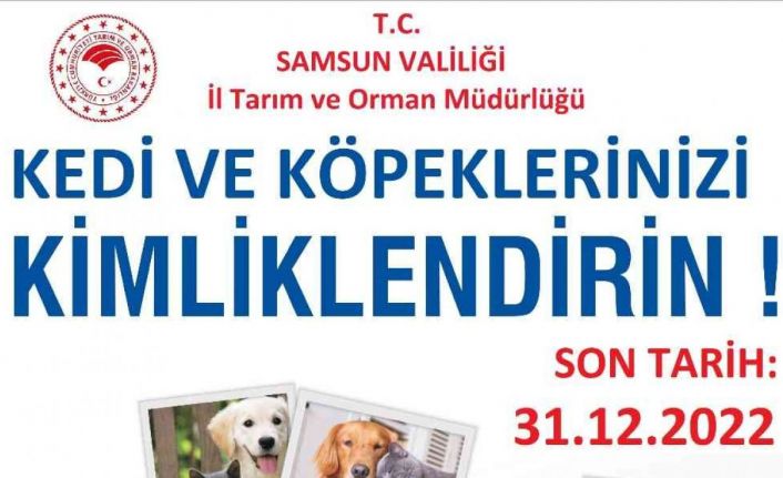 Samsun’da 7 bin 277 evcil hayvan mikroçip uygulanarak kayıt altına alındı