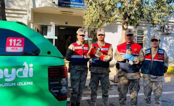 Şanlıurfa’da doğan avlayan kişiye 4 bin 712 lira ceza