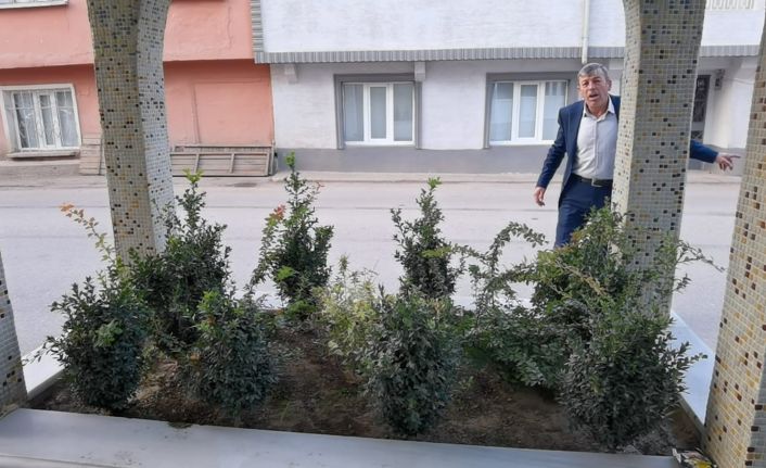 Şehir efsanesi köyü ikiye böldü...O mezar aşkından ölen kıza mı ait?