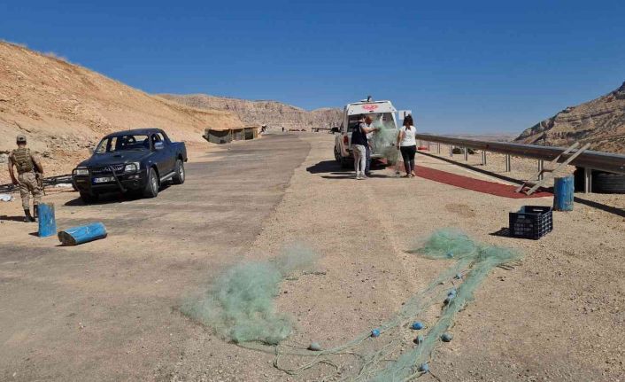 Siirt’te kaçak avlananlara 14 bin TL para cezası kesildi