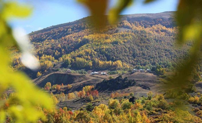 Sonbahar renklerine bürünen Tunceli’de doğa, görsel şölen sunuyor