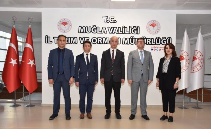 Tarım ve Orman İl Müdürü Saylak, projelerini Vali Yardımcısı Soykan’a açıkladı