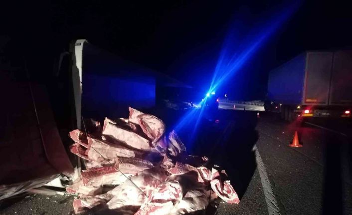 Tır devrildi, tonlarca karkas et yola saçıldı