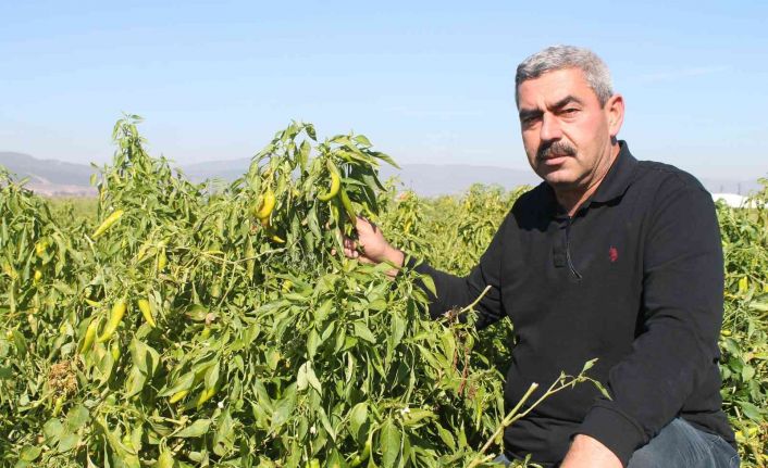 Türkiye’de ilk kez Bursa’da denendi, işçi maliyetleri yüzde 90 düştü
