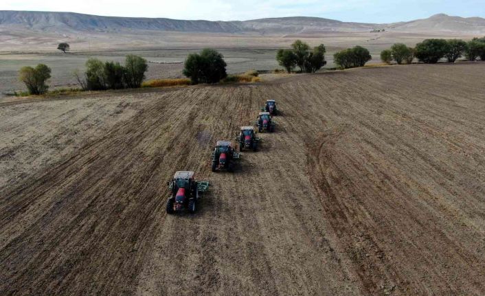 Türkiye’nin tritikale ihtiyacının yüzde 50’si Sivas’ta üretiliyor