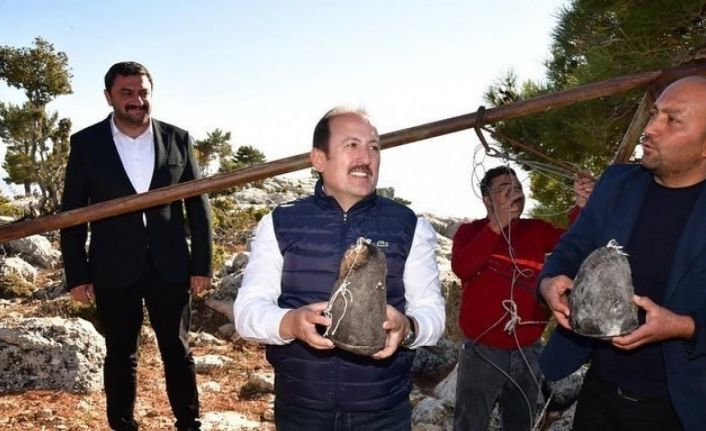 Vali Pehlivan, ’obruk peyniri’ çıkarma etkinliğine katıldı