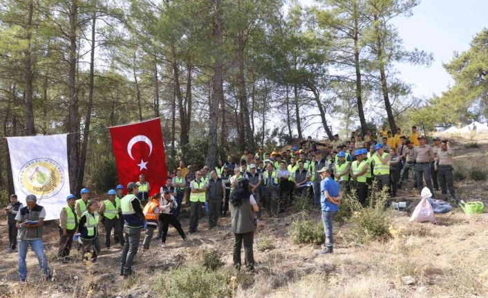 Yatağan, Milas ve Kavaklıdere İşletme Müdürlüklerinin Silvikültür tatbikatı yapıldı