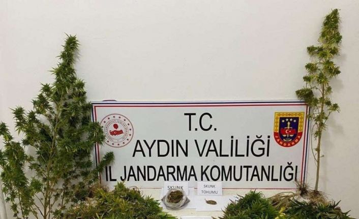 Yenipazar’da uyuşturucu baskını