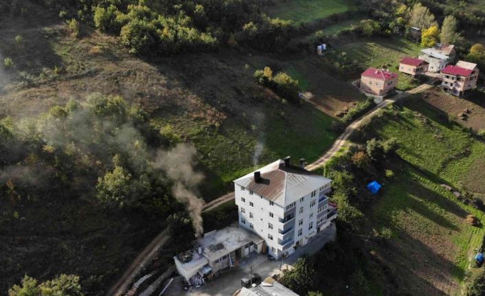 100 yıllık ekşi maya ile yapılan Araköy ekmeği bir köyün geçim kaynağı oldu