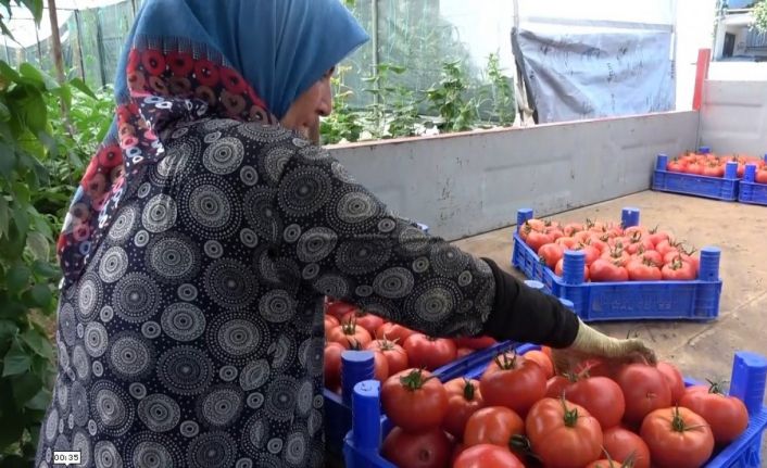 2 bin 500 nüfuslu köyün yüzde 90’ı tarımla uğraşıyor, hasat zamanı çevre köylerden işçi alıyor