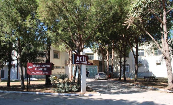 ADÜ Veteriner Fakültesi Hastanesi yılda 7 bin hasta hayvana bakıyor