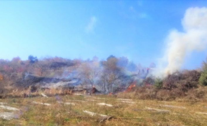 Anız yangını ormana sıçramadan söndürüldü