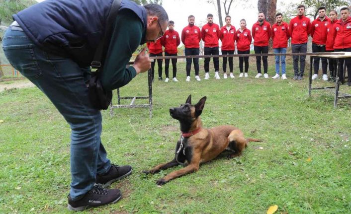 Arama kurtarma köpekleriyle uygulamalı eğitim veren tek üniversitede geleceğin köpek eğitmenleri yetişiyor