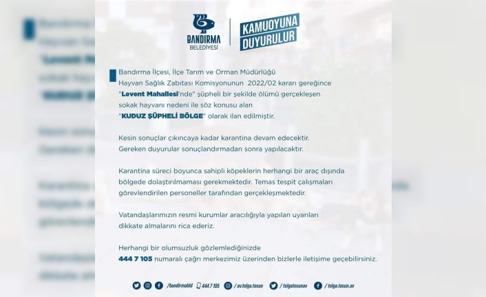 Bandırma’da bir mahalle kuduz şüphesi nedeniyle karantinaya alındı
