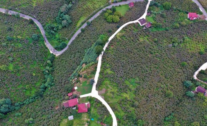 Başkan Tören: “Şehit ailemizin ve dezavantajlı vatandaşlarımızın ulaşım sorununu çözüme kavuşturduk”