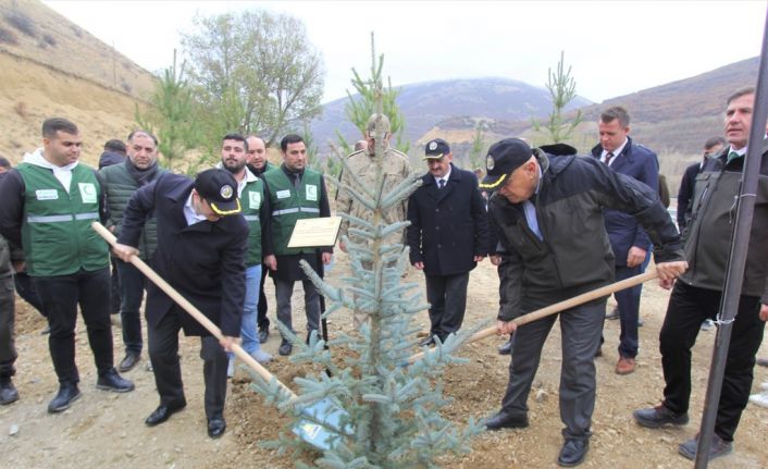 Bayburt’ta 105 bin adet fidan toprakla buluşturuldu