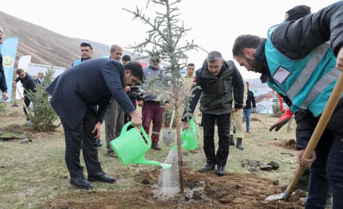 Bitlis’te 3 bin fidan dikildi