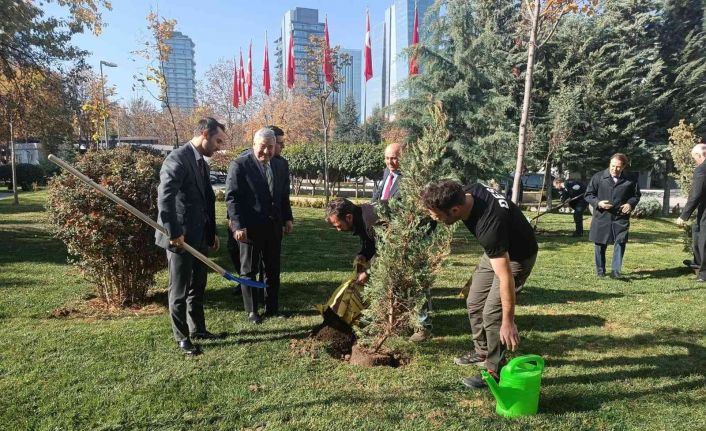 Dışişleri Bakanlığına 44 ağaç dikildi