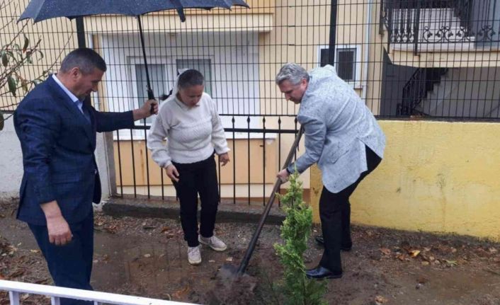 Edremit’te Eylül ayında vefat eden öğretmen adına okuluna fidan dikimi yapıldı
