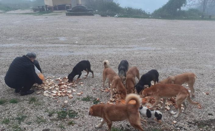 Emekli gazeteci her sabah bisikletiyle yola çıkıyor, topladığı ekmeklerle hayvanları besliyor