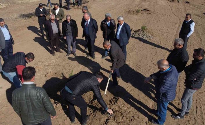 Erzincan TSO’ya ait hatıra ormanına fidan dikildi
