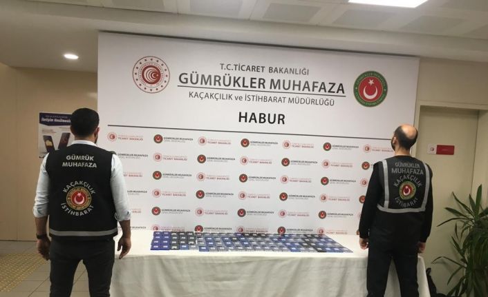 Habur Sınır Kapısı’nda 4 milyonluk kaçak ürün ele geçirildi