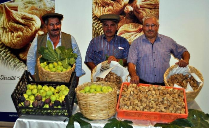 İncirin 272 çeşit dişisi, 58 çeşit erkeği olmak üzere 330 türü bulunuyor