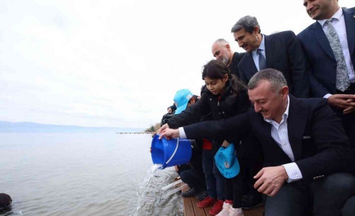 İzmit Körfezi’ne 6 bin balık daha bırakıldı: Adım adım izlenebilecekler