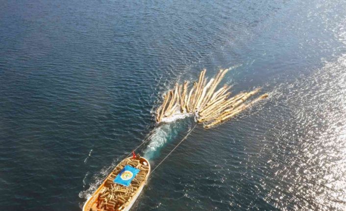 Karadan ulaşım yok, tomruklar denizden taşındı