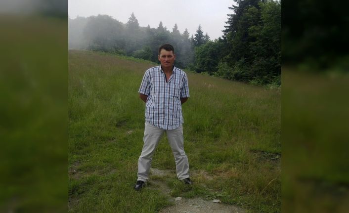 Kestiği ağacın altında kalarak can verdi