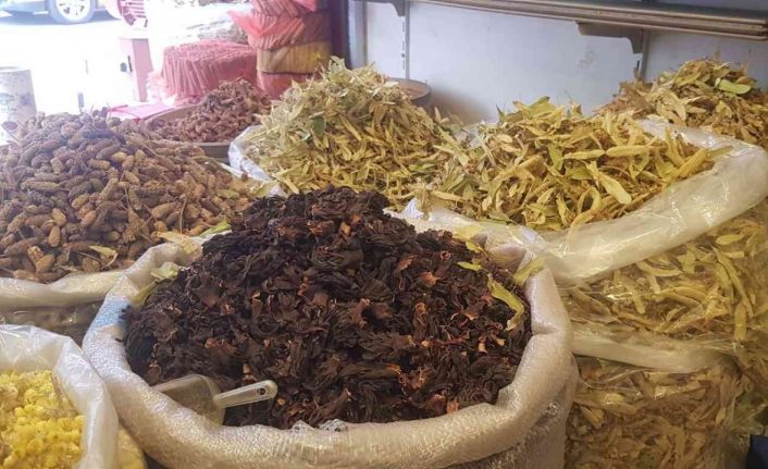 Kilosu 250 ile 400 lira arasında değişen ıhlamur vatandaşların vazgeçilmezi oldu