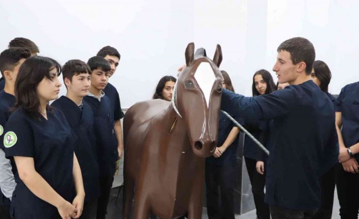 Konuşan maket at ve sığır ile hem eğleniyorlar hem öğreniyorlar