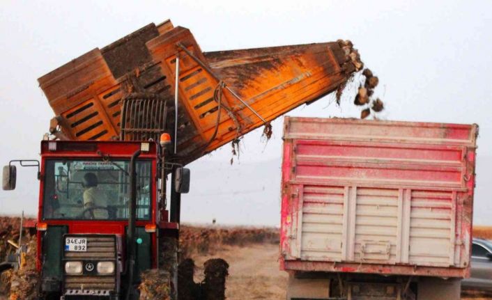 Konya’da 1 milyon dekar alanda şeker pancarı hasadı devam ediyor