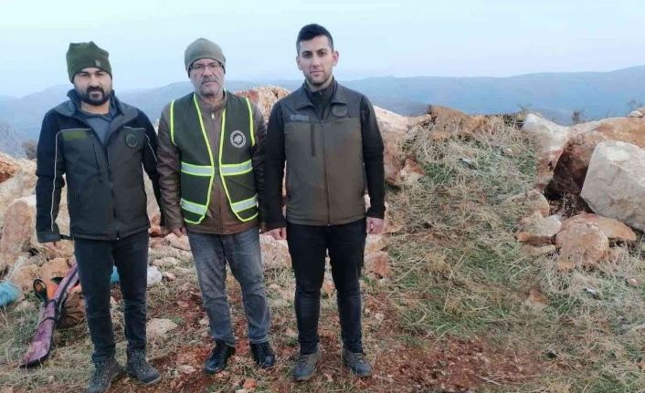 Koruma altındaki oklu kirpiyi öldüren şahsa ve kaçak avlanan 11 kişiye para cezası