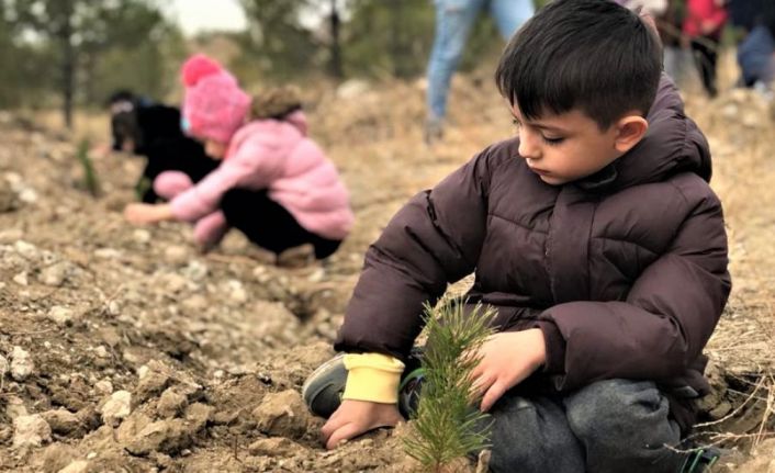 Minik eller fidanları toprakla buluşturuyor