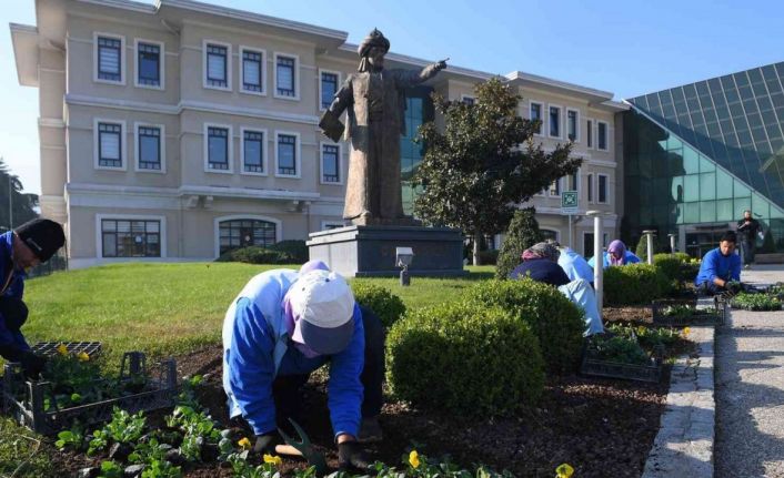 Osmangazi kış çiçekleri ile renklenecek