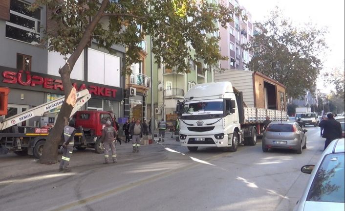 Prefabrik ev taşıyan tırın kırdığı ağaç 2 araca zarar verdi