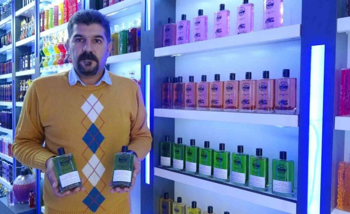 Şehit kaymakamın hayaline sahip çıktı Avrupa’ya ’Derik zeytini’ kolonyasını ihraç ediyor